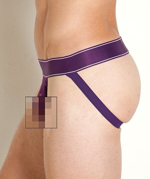 Skull & Bones Burnout Jockstrap Purple