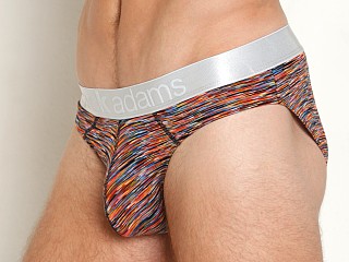 Model in kalediscope Jack Adams Metallic Waistband Filament Brief