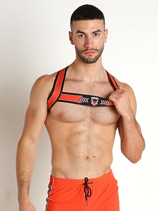 Model in orange Cell Block 13 Kennel Club Spitfire Harness