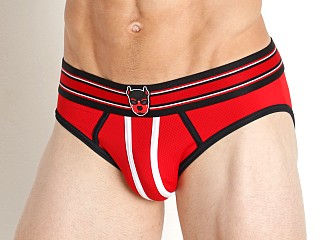 Model in red Cell Block 13 Kennel Club Atlas Brief