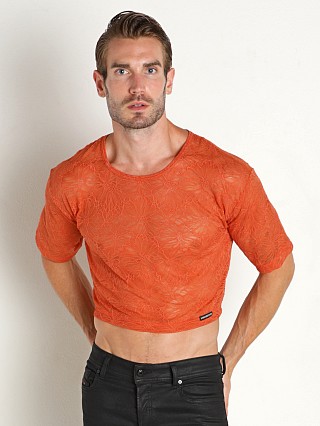 Model in terra cotta Manstore Stretch Lace Crop Top