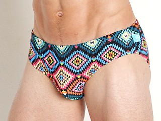 Model in geometric Timoteo Lakeshore Low Rise Swim Brief