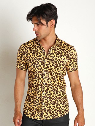 Model in honey/brown leopard St33le Printed Stretch Jersey Knit Short Sleeve Shirt Honey/Brow