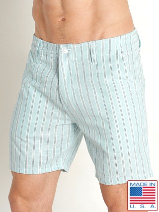 Model in aqua LASC Summer Striped Linen 6" Shorts